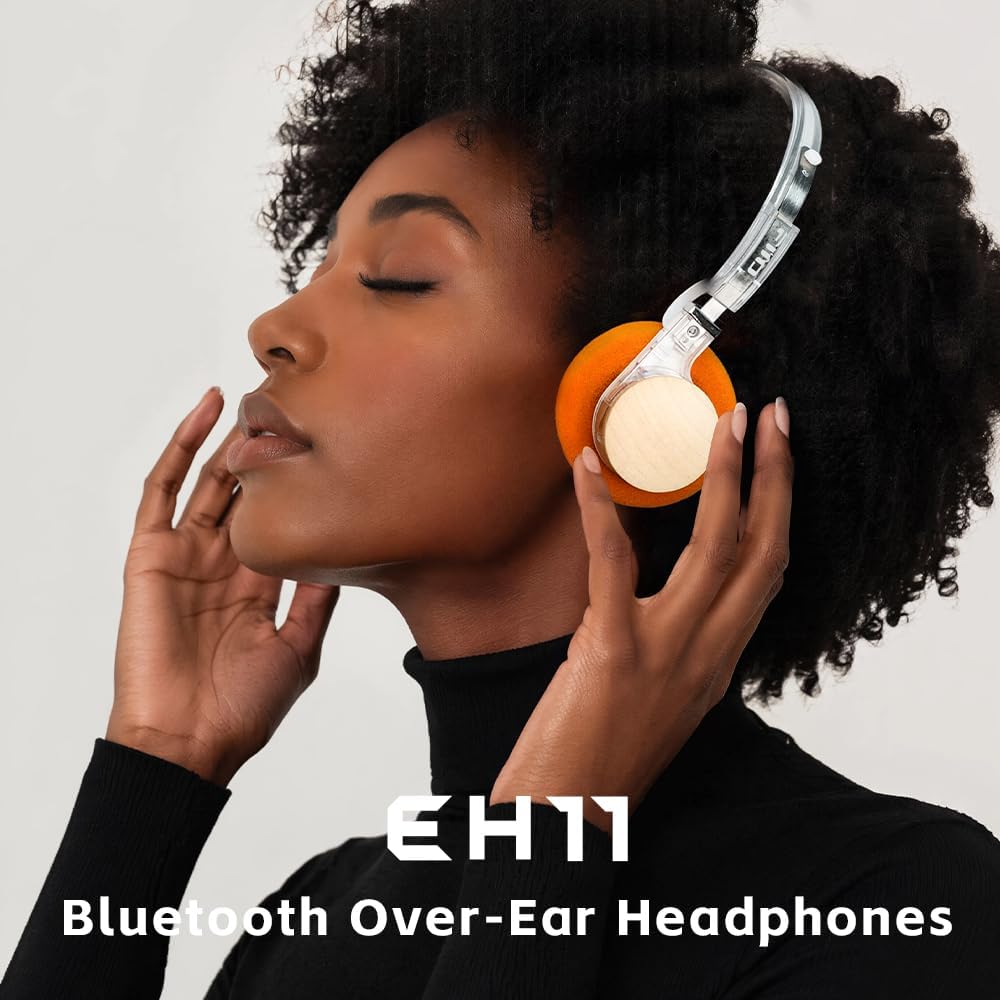 FiiO EH11 Headphones